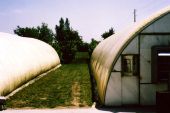 1984: the first two greenhouses